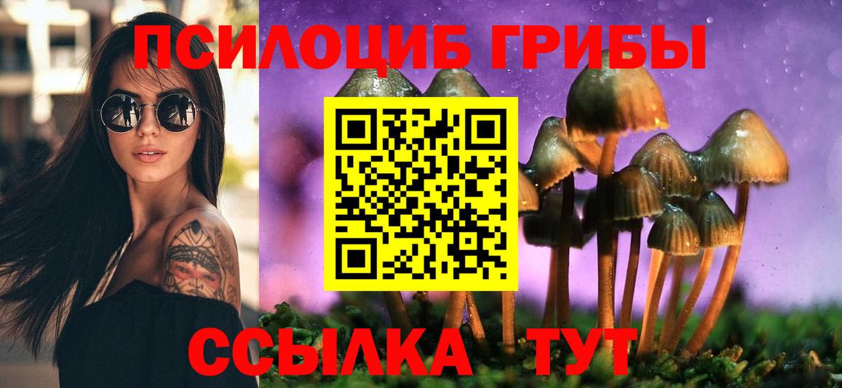 Королёв  Галлюциногенные грибы прущие грибы  Вход с VPN 